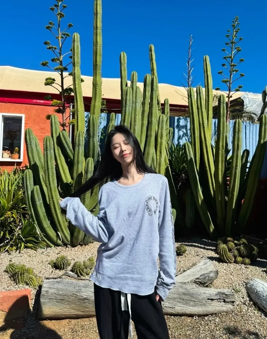 🌟